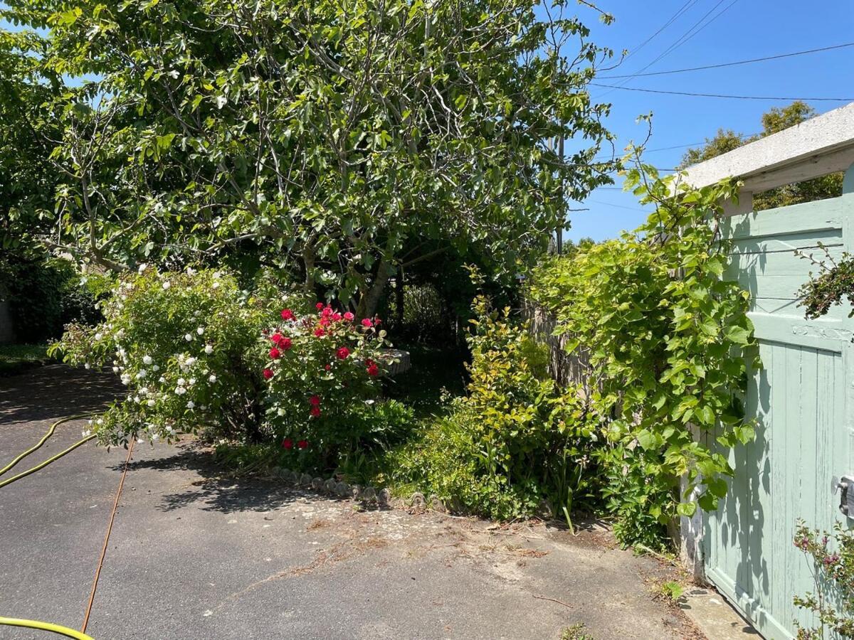La Maison De Marie A 5 Minutes A Pied De La Plage Avec Parking Privee Et Gratuit Lion-sur-Mer Dış mekan fotoğraf